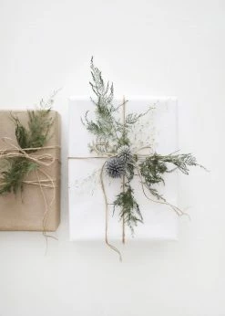 Afloral Dried Flowers Blue Dried Echinops Globe Thistles - 16-22