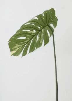 Afloral Artificial Philodendron Tropical Leaf - 23.5