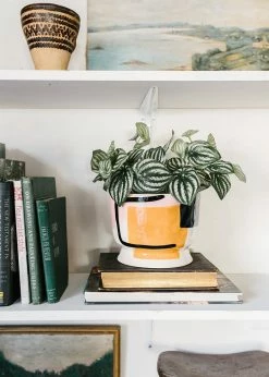 Afloral Artificial Natural Touch Watermelon Peperomia Plant - 13