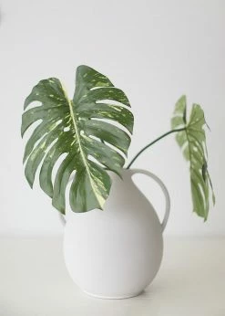 Afloral Artificial Philodendron Tropical Leaf - 23.5" Artificial Plants