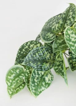 Afloral Artificial Satin Pothos House Plant - 9
