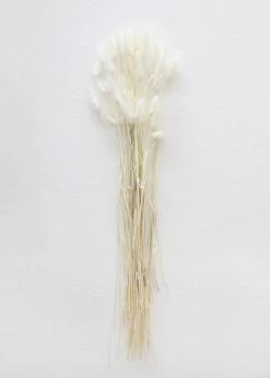 Afloral White Dried Bunny Tails - 18-28"