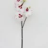 Afloral White Artificial Phalaenopsis Orchid - 32"