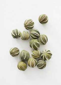 Afloral Bag Of 14 Natural Dried Limes - 1.75-2.25" Dried Flowers