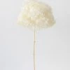 Afloral Dried Hydrangea In Cream - 22-24"