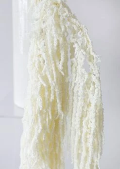 Afloral White Preserved Hanging Amaranthus - 32-40
