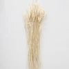 Afloral Dried Flowers Dried Petite Arrow Grass - 12"