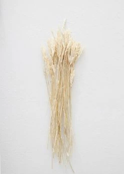 Afloral Dried Flowers Dried Petite Arrow Grass - 12"