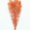 Afloral Orange Preserved Baby's Breath - 24-32" Dried Flowers
