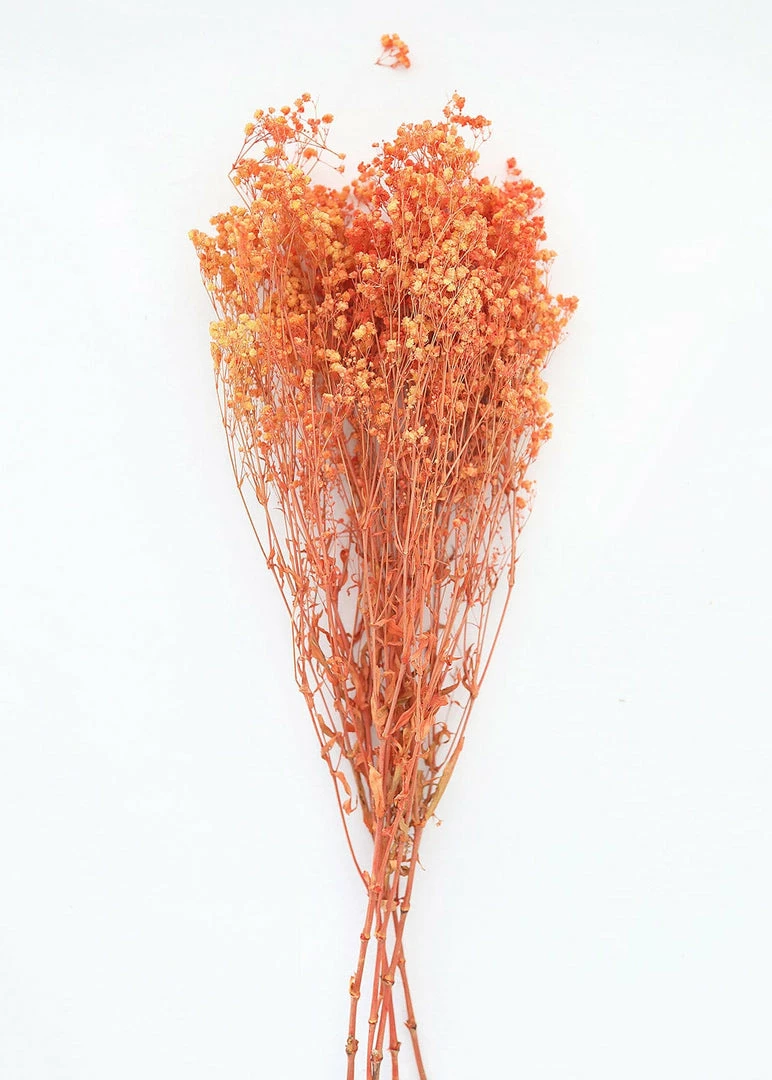 Afloral Orange Preserved Baby's Breath - 24-32" Dried Flowers