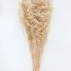 Afloral Dried Flowers Ivory Preserved Baby's Breath - 24-32"