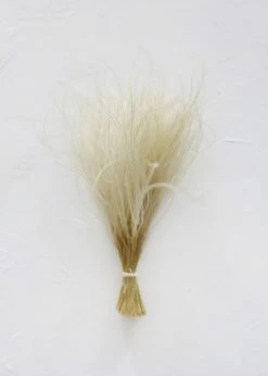 Afloral Off-White Ornamental Feather Grass - 8-12"