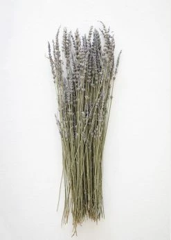 Afloral Dried Flowers Dried Lavender Wildflowers - 15-22"