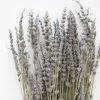 Afloral Dried Flowers Dried Lavender Wildflowers - 15-22"