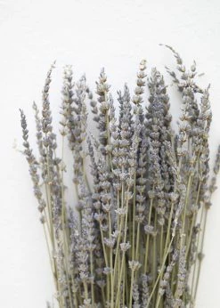 Afloral Dried Flowers Dried Lavender Wildflowers - 15-22"