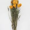Afloral Yellow Dried Marigold Flowers - 14-22" Dried Flowers