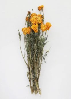 Afloral Yellow Dried Marigold Flowers - 14-22