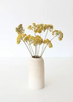Afloral Dried Natural Yarrow Flowers - 18-24