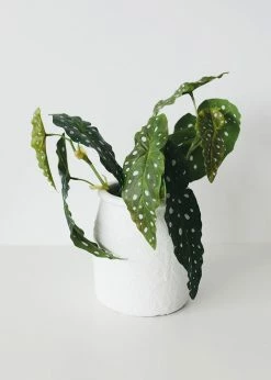 Afloral Artificial Plants Artificial Angel Wing Begonia Leaf Plant - 12"