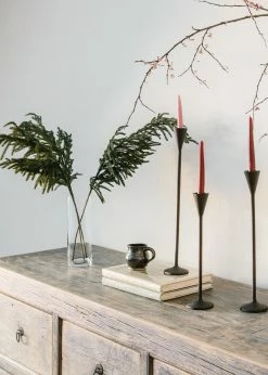 Afloral Real Touch Norfolk Pine Branch - 36