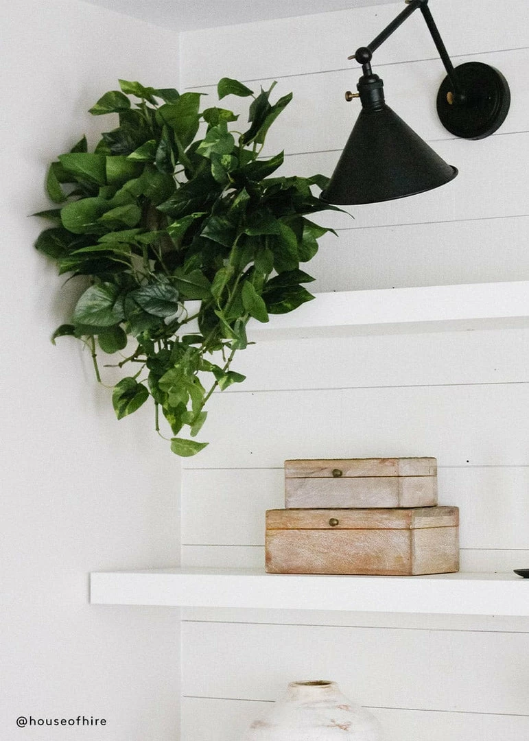 Afloral Real Touch Hanging Pothos Fake Plant - 22"